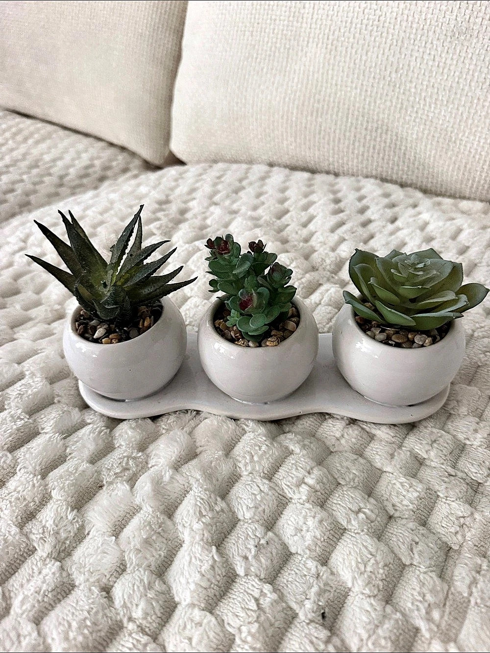 Three-Pot Succulent Planter Decor